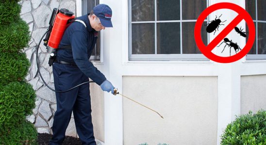 Dazkırı Böcek İlaçlama böcek ilaçlama ve haşere kontrolü — ilaclama-tr.com